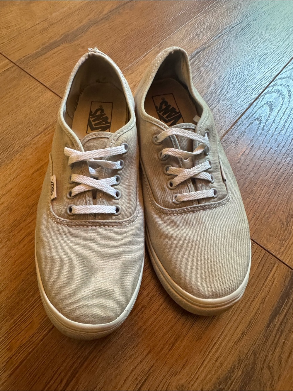 Vans Gray Canvas Authentic Low-Top Sneakers